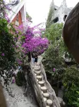 Crazy House Hotels in Dalat
