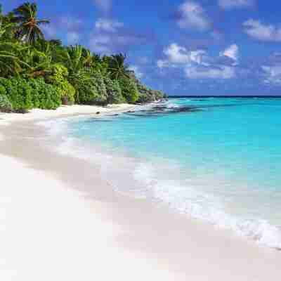 Thoddoo Beach View by Vista Hotel Exterior