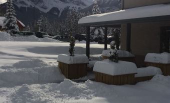Mountain View Inn