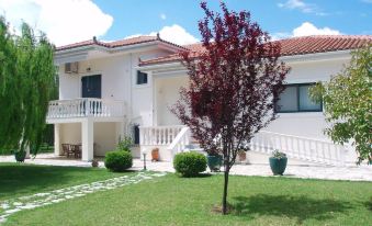 Finikes Studios Kefalonia - Housity