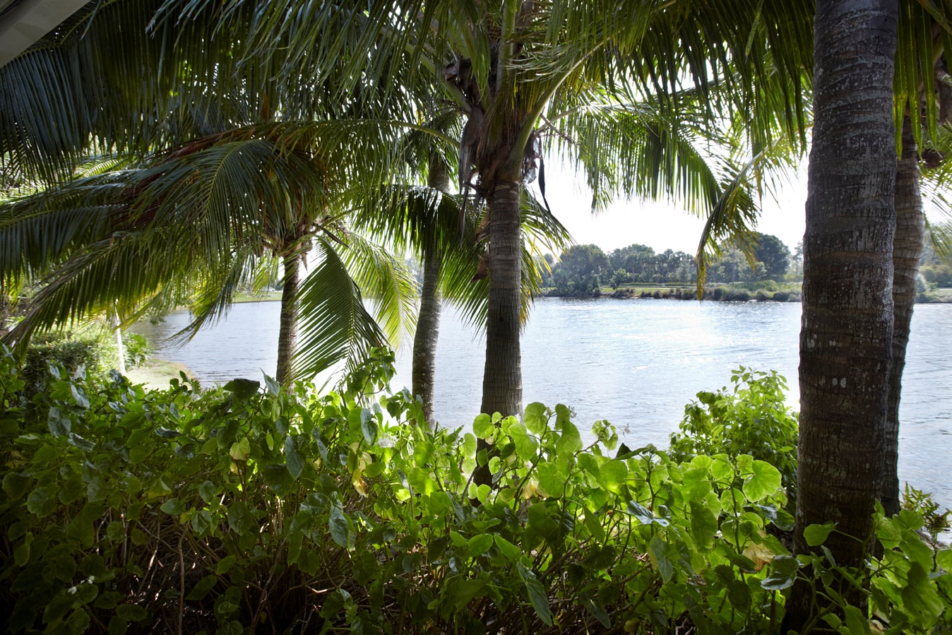 Trianon Bonita Bay Hotel