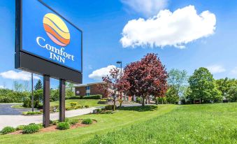 Comfort Inn