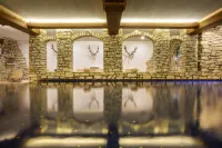 Aktiv & Spa Hotel Alpenrose - Pools