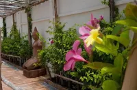 Bambu Hotel Hotels in Battambang