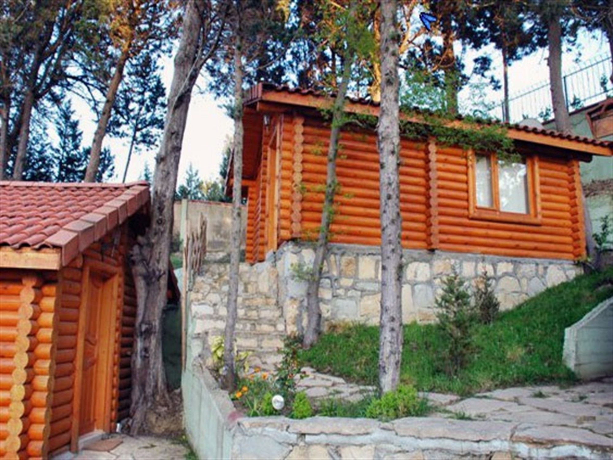 Ağva Orman Evleri Forest Lodge (Agva Orman Evleri Forest Lodge)