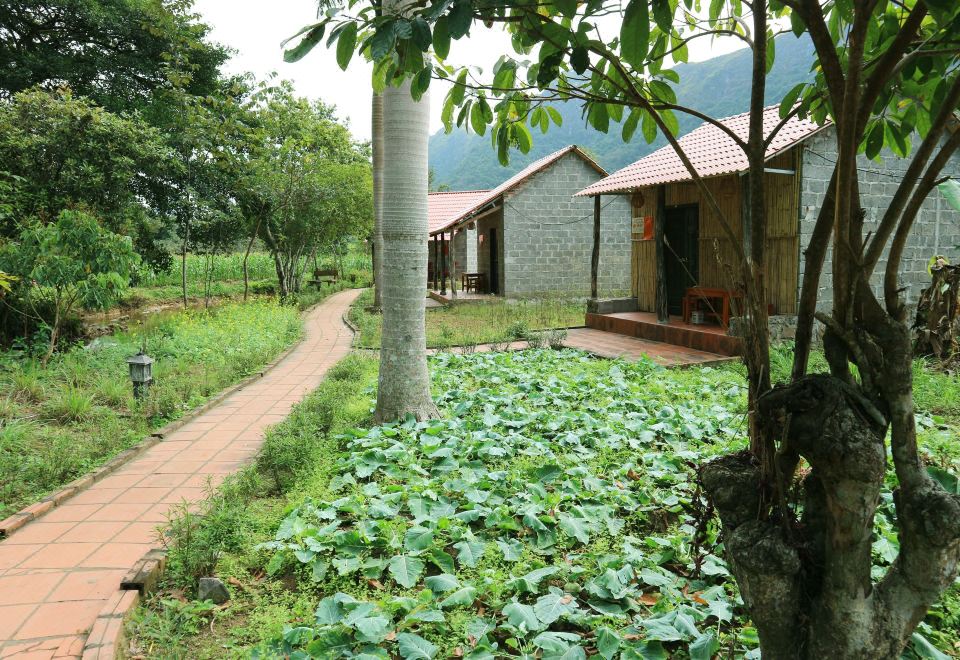 1. 롱 푸옹 홈스테..