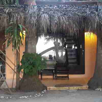 Hotel la Palapa Hotel Exterior