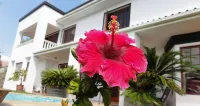 Helderberg Guesthouse Hotels in Grabouw