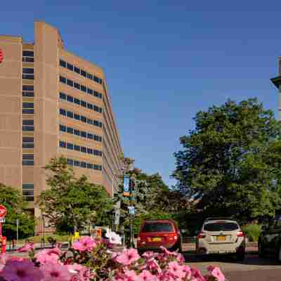 Sheraton Syracuse University Hotel and Conference Center Hotel Exterior