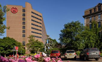 Sheraton Syracuse University Hotel and Conference Center - Housity