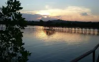 Amazon Bungalow & Cottages Hotels in Cimerak