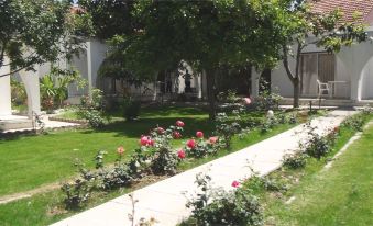 a lush green garden with a variety of plants and flowers , including roses , surrounded by a house at Rose Gardens