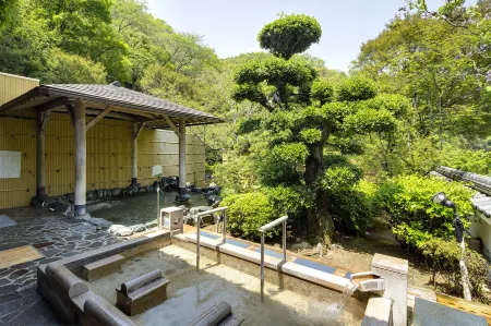 HotSprings Hotel Fushioukaku Отели в г. Миноо