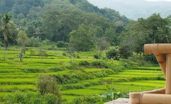 Kelimutu Crater Lakes Ecolodge