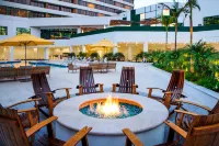 Irvine Marriott - Baarit