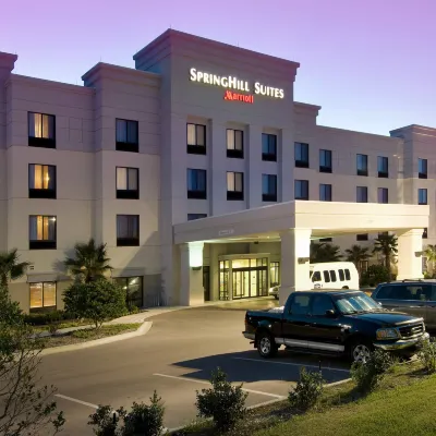 SpringHill Suites Jacksonville North I-95 Area Hotels near Bethesda Park