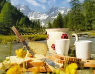 Alpenherz Hotel Garni Hotels in Gerlos