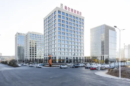 Sylvia Hotel Отели в г. Цзинчжон