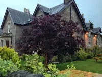 Buttonboss Lodge B&B