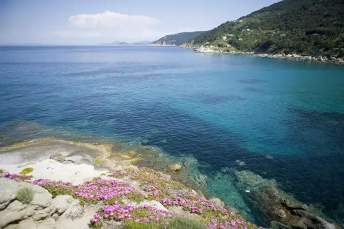 Hotel Gallo Nero - Pet friendly