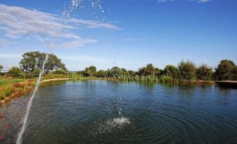 Casa de Campo Vale do Asno