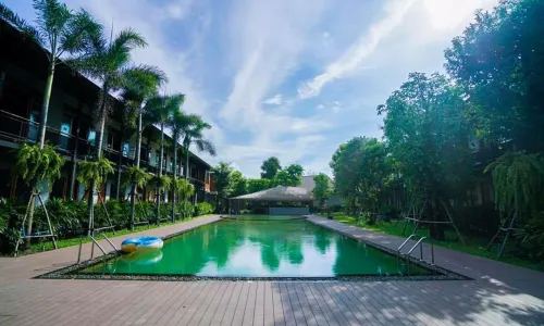 더 버팔로 암파와