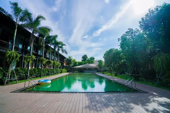 รูปภาพของเดอะ บัฟฟาโล่ อัมพวา