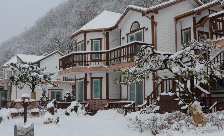 Forest of Color Pension