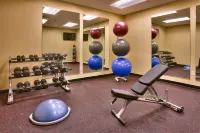TownePlace Suites Dickinson - Gym