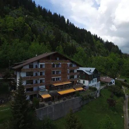 Hôtel le Grand Chalet