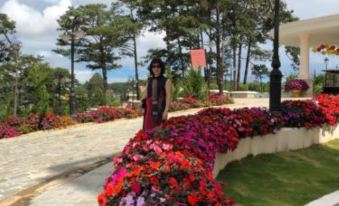 My Anh Guest House