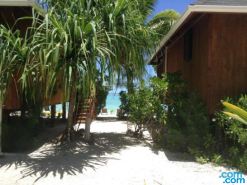 Aitutaki Seaside