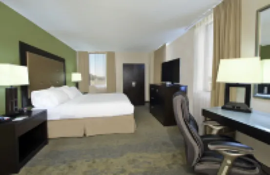 Holiday Inn 梅泰裏新奧爾良機場 - 酒吧