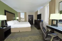 Holiday Inn Metairie New Orleans Hotels in Metairie