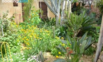 Mystery Garden Guest House - Housity
