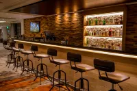 Holiday Inn CAIRO MAADI by IHG - bar