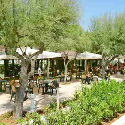 Camping Le Dune Others