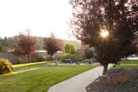Black Hills Luxury Suites - Homestays