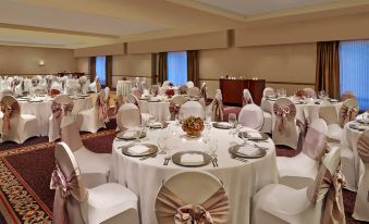 Sheraton Suites Chicago Elk Grove