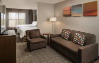 Staybridge Suites Denver Tech Center Hotels in Centennial