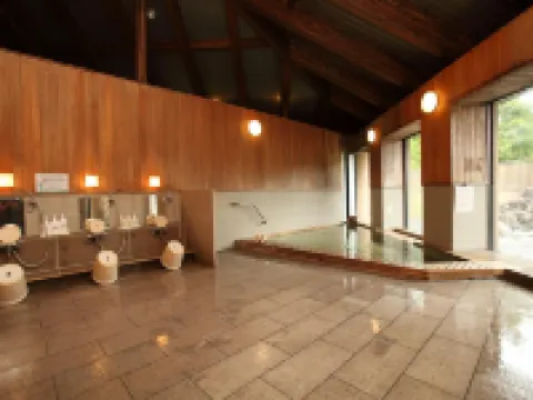 Toyota Shirakawa-Go Eco-Institute Hotels in Ono District