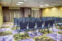 Comfort Suites Hotels in Sanford