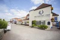 The Walnut Tree Hotel Hotels in Sedgemoor