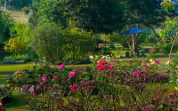Kebun Mawar Situhapa Hotels near Kebun Mawar Garut