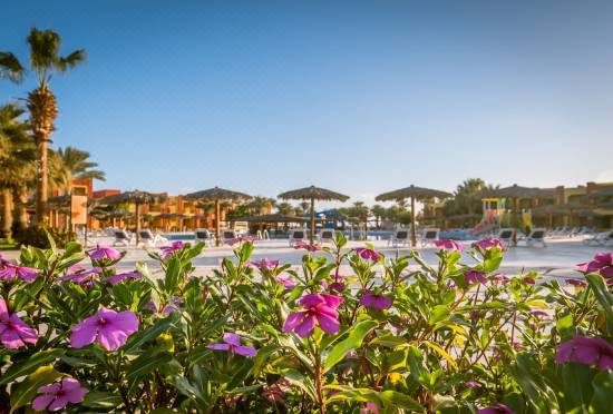 Magic Tulip Beach Resort Spa Qesm Marsa Alam Updated 21 Price Reviews Trip Com Magic Tulip Beach Resort Spa Qesm Marsa Alam Updated 21 Price Reviews Trip Com