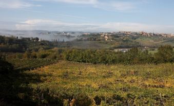 Castel di Pugna Winery