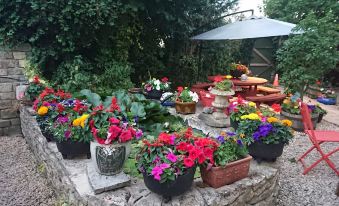 Hayleaze Bed & Breakfast - Housity