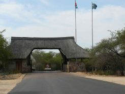 Kruger Park Tours