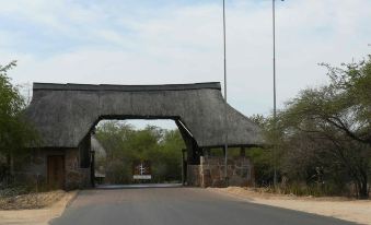 Kruger Park Tours
