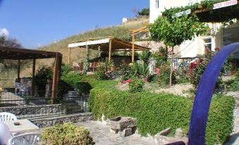 a beautiful outdoor terrace with flowers , trees , and a building , set against the backdrop of a clear blue sky at Irida